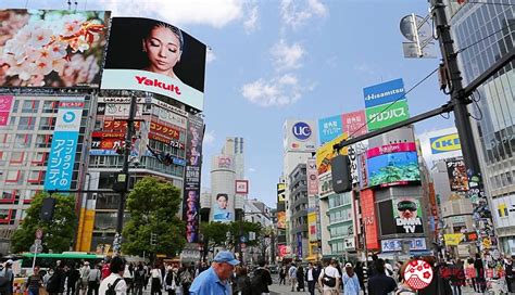 最住位置|日本东京住哪区最赞？资深东京人票选「东京23区宜居。